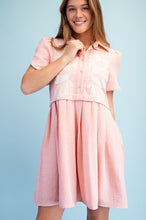 Load image into Gallery viewer, BLUSH EMBROIDERED APPLIQUE MINI DRESS
